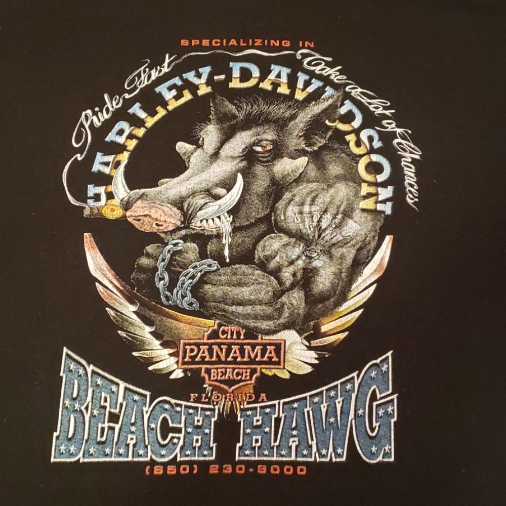 Panama City, FL H-D Dealer T-shirt - Size L